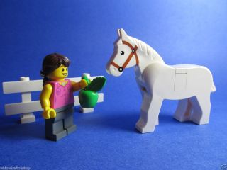 Lego Minifigure Girl Female White Horse Animal Fence Apple Food Custom