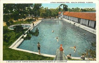 FL Health Springs Lithia Swimming Pool Slide R81825