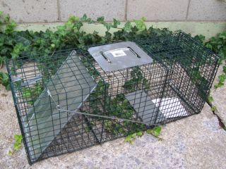 New Advantek Large Live Animal Cage Trap