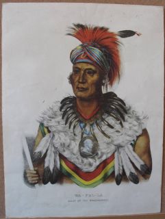 Vintage Fox Musquakees Indian Chief Wapella Color Print