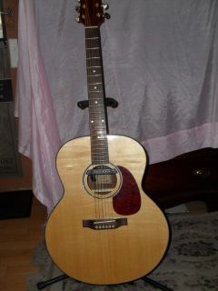 Maple Lake Electric Acoustic Guitar