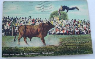  Pancho Villa and Wild Brahma Bull McAllen Texas TX vintage 1948 used
