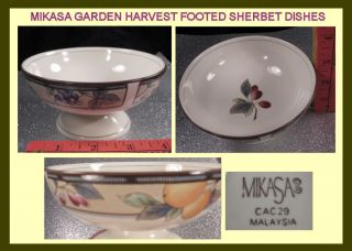 MIKASA Garden Harvest Pedestal FOOTED SHERBET Bowl Dish Intaglio