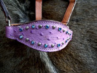 Miniature Horse FANCY Showmanship Leather Show Halter Tack Purple