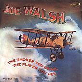 , the Player You Get by Joe Guitar Walsh CD, Oct 1990, MCA USA