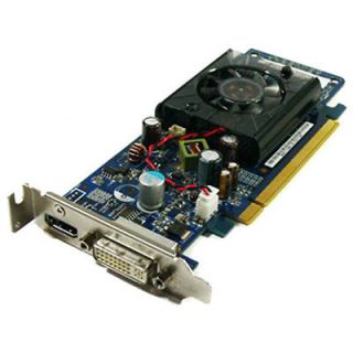 256MB HP 503107001 GeForce G100 DVI HDMI DDR2 PCI Express Low Profile