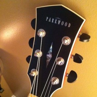 Acoustic Guitar / Taylor Strap / HSC / Fishman Rare Earth Pickup
