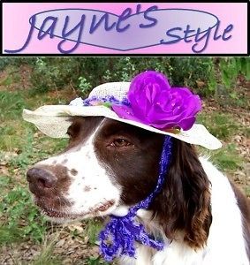 NEW* JAYNES STYLE   *THE DIXIE* Pet Dog Hat VERY CUTE