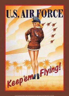 Tin Metal Sign 16.5x 11.5 Pin Up Gary Palm USAF Keep em Flying