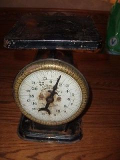 Vintage 24# American Family Scale Patented Oct. 25, 1898