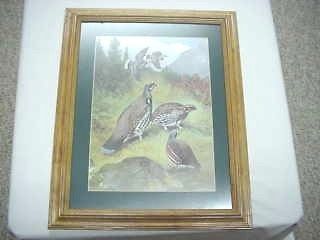 Hunt quail picture wood frame w/glass