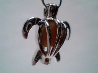 Rare Amber beach sea glass turtle locket pendant handmade necklace