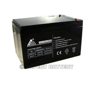 12AH 12V SLA Battery for F2 APC BackUPS Pro 650 BK650M 1000 B 655