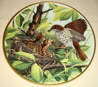 Birds Of Countryside WOOD THRUSH EAT National Audubon Society Plate