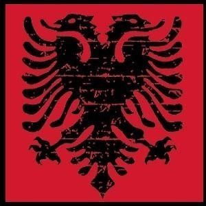 ALBANIAN EAGLE Coat of Arms ALBANIA Distressed T SHIRT