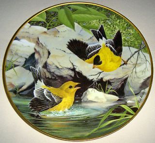 Birds Of The Countryside GOLDFINCH National Audubon Society Plate