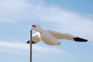 Feather Flyer Painted Snow Goose Decoys (6 pk.)   Sillosocks
