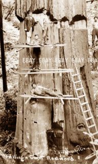 logging axes