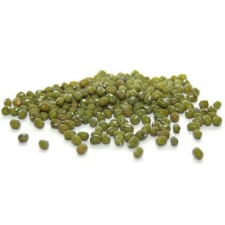 Organic MUNG BEAN SPROUTING SEEDS (1 to 10 Lbs) to Grow Sprouts or for