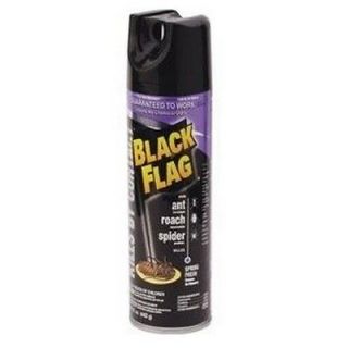 Black Flag Ant Roach And Spyder Spray Safe   Can