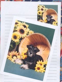SCHNAUZER MINIATURE PUPPY Set of 6 Note Cards with envelopes #0647