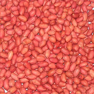 RAW NUTS GROUNDNUTS GRADE A CHEAP PRICE GARDEN BIRDS FOOD NUTS