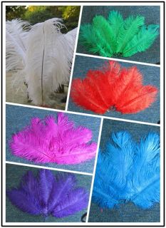 Wholesale,20 pcs 6 14inch High Quality Natural OSTRICH FEATHERS, Color
