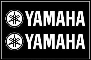 12 YAMAHA BOATS Decals *WHITE* Vinyl Stickers Boat Outboard Motor