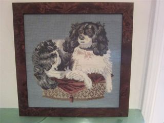 Elizabeth Bradley Tapestry needlepoint KING CHARLES Spaniel Dog Framed