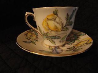 Salisbury fine bone china, teacup & saucer, Eng #1729