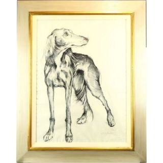 Brendan Hesmondhalgh Saluki Dog Pencil Sketch Drawing