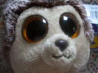 Ty Beanie Boos 6 Hedgehog ~ SPIKE ~ Collectible Stuffed Toy DOB