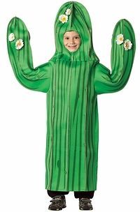 Kids Childs Cactus Holloween Holiday Costume Party (Size 7 10)
