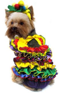 Calypso Queen Dog Costume   Great for Halloween 