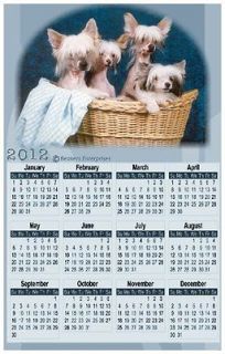 CHINESE CRESTED PUPPIES 2013 Magnetic Calendar Magnet #0606