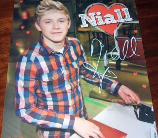 NEW   One Direction (1D) Niall Horan Big 16x20 Wall Poster b/w