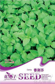 Pack 50+ Rare Herb Seed Catnip Seed Chinese Popular Good Effect Herb