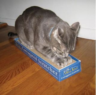 eco friendly Corrugated Cardboard Cat Kitty Scratcher with cat nip
