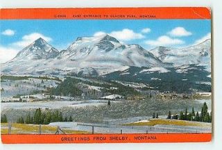 5026 MT Greetings from Shelby, Montana East Entrance to Glacier Park