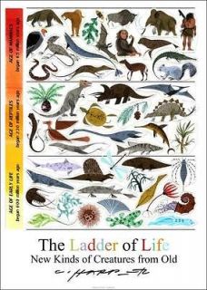 Charles/Charle y Harper  Ladder of Life   2011 NEW RELEASE Big Golden