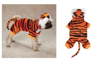 Bengal Buddy Tiger Costume for Dogs   Halloween Dog Costumes