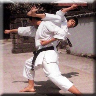 Karate 008 Shotokan Karate Kumite Kyohan ENGLISH m