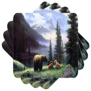 4x ccq02797 g BEARS Home Bar Ale Beer Mug 3D Etched Drink Coasters