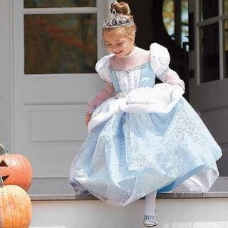Winter Cinderella Princess Paradise Costume Dress NOcrown 3T 3 4T 4 5