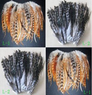 Natural 20pcs 100pcs Pheasant tail feathers 30 35cm color&quantity
