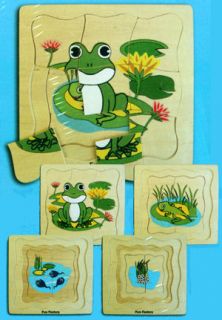 Layer Layered Tadpole Frog Life Cycle Wooden Puzzle
