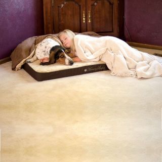 memory foam bed Large dog Sleeper 29x45 mattress aging pet comfort