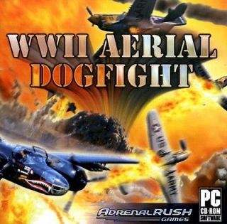 World War II 2 WWII Aerial Dogfight Fighting Flight Sim PC Computer