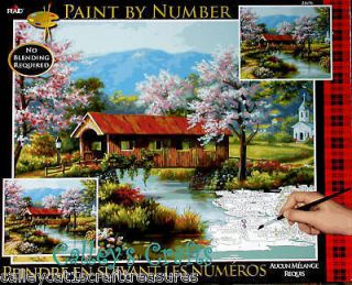 Plaid Paint by Number Kit ~ Covered Bridge ~16 x 20 Water, Flowers