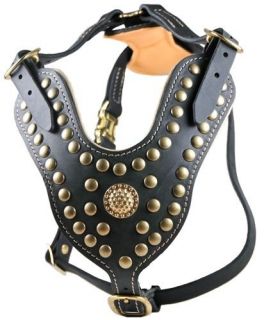 Leather Studded Harness Cane Corso Mastiff Rottweiler